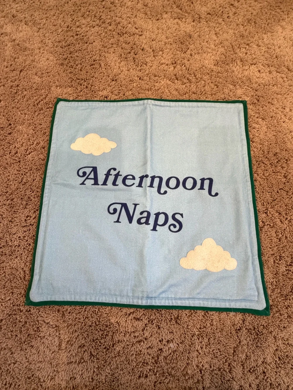 New Anthropologie Afternoon Naps pillow cover Blue clouds bird